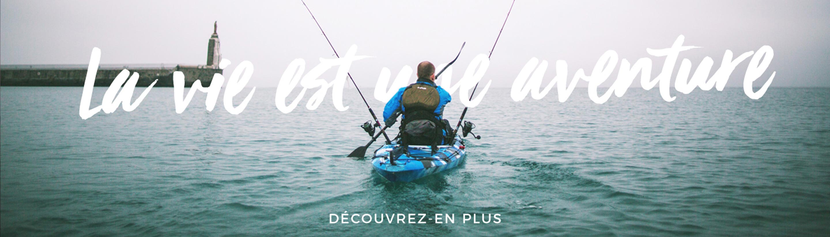 LA VIE EST UNE AVENTURE